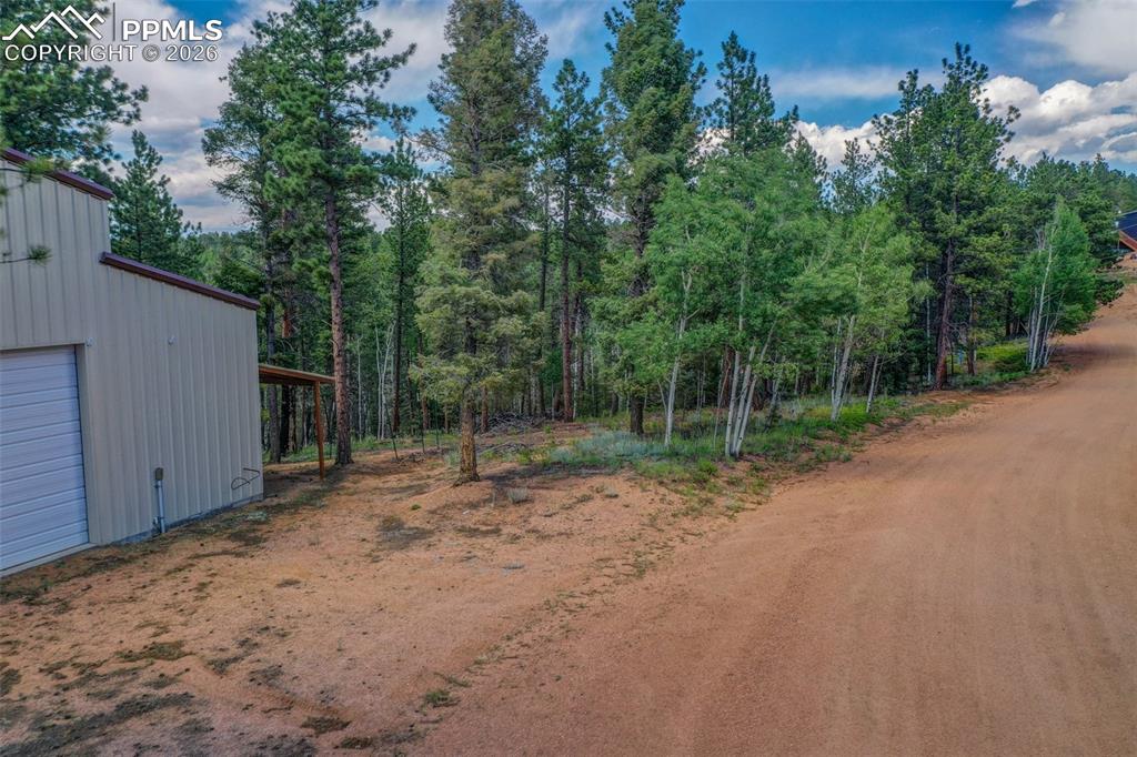 449 Woody Creek Road Florissant CO 80816
