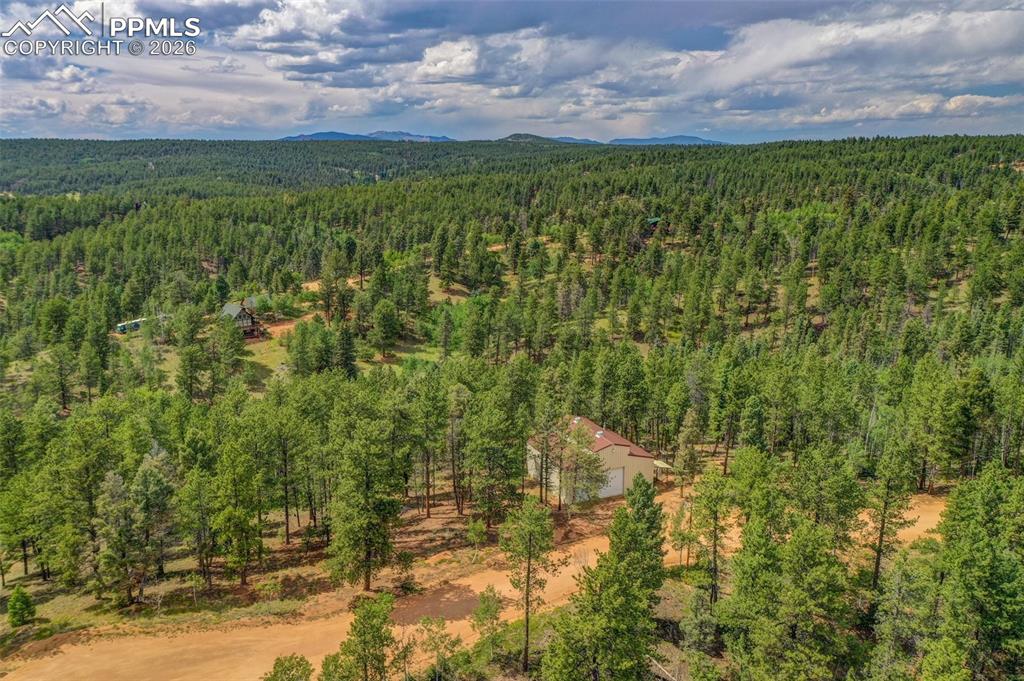 449 Woody Creek Road Florissant CO 80816