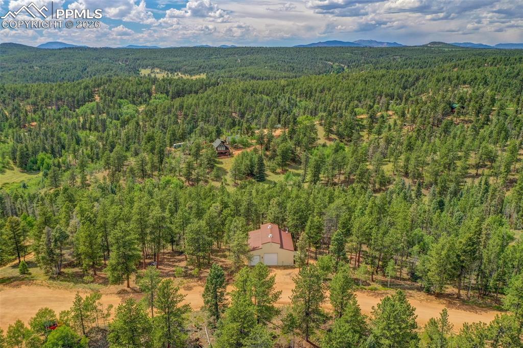 449 Woody Creek Road Florissant CO 80816