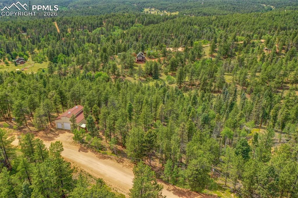 449 Woody Creek Road Florissant CO 80816