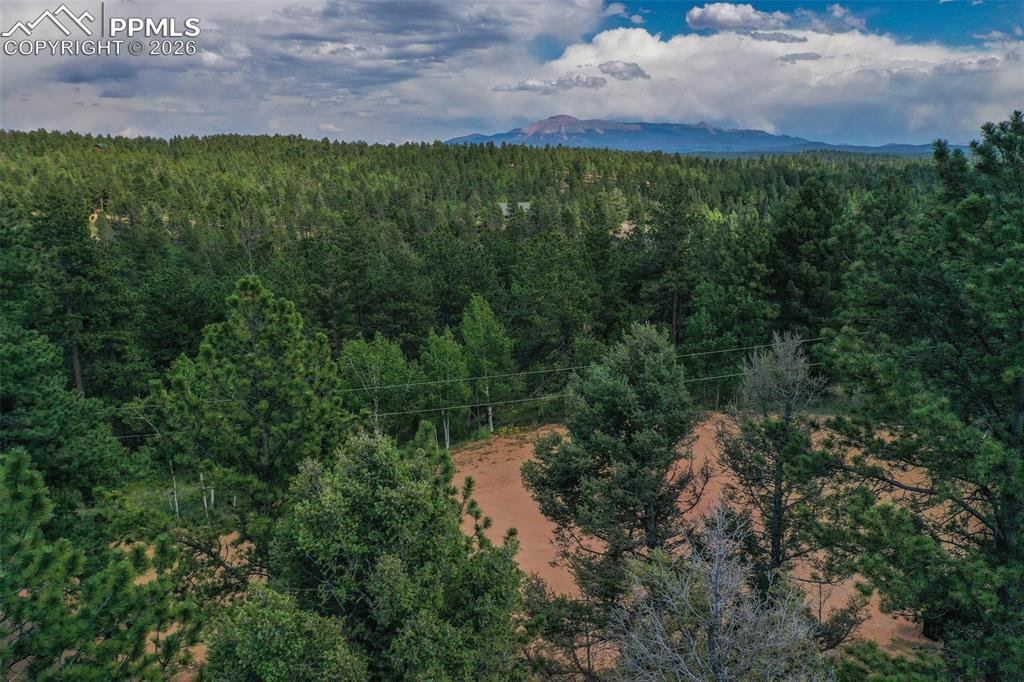 449 Woody Creek Road Florissant CO 80816
