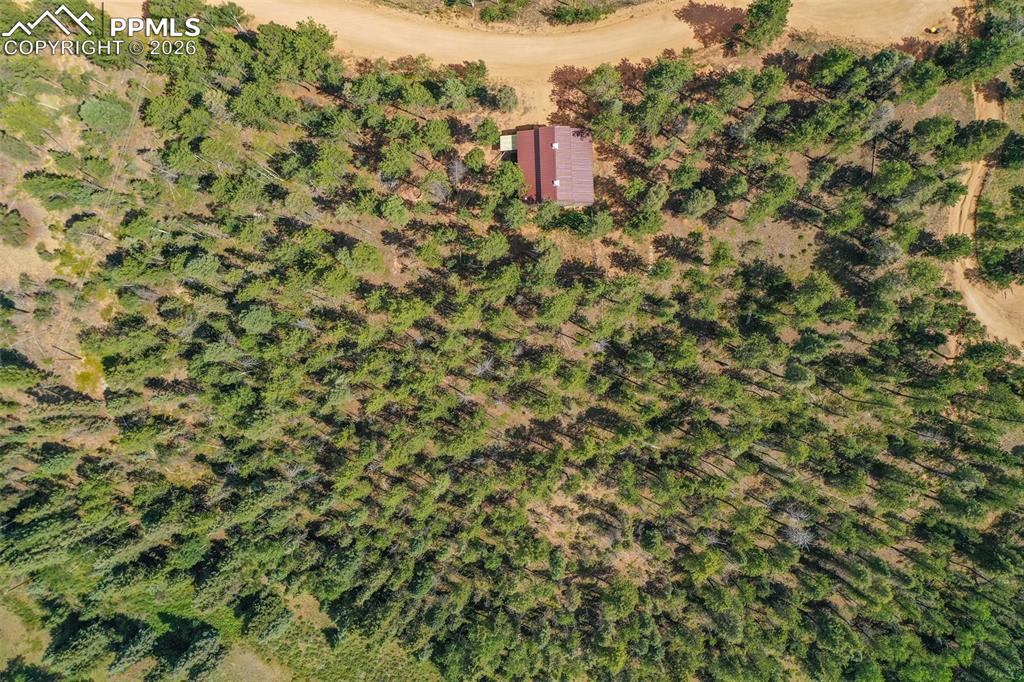 449 Woody Creek Road Florissant CO 80816