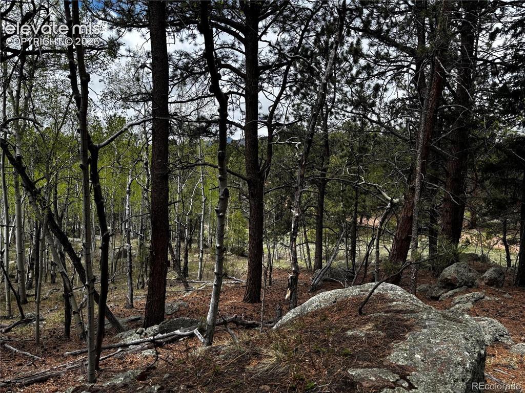 210 Crescent Drive Florissant CO 80816
