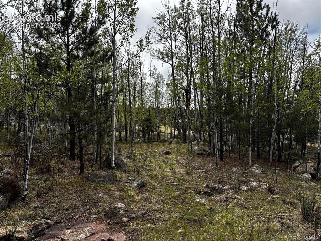 210 Crescent Drive Florissant CO 80816