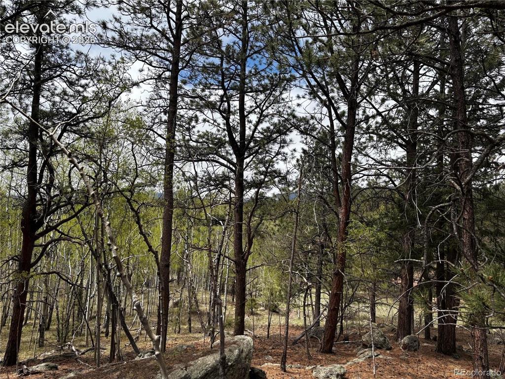 210 Crescent Drive Florissant CO 80816