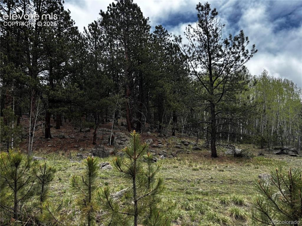210 Crescent Drive Florissant CO 80816
