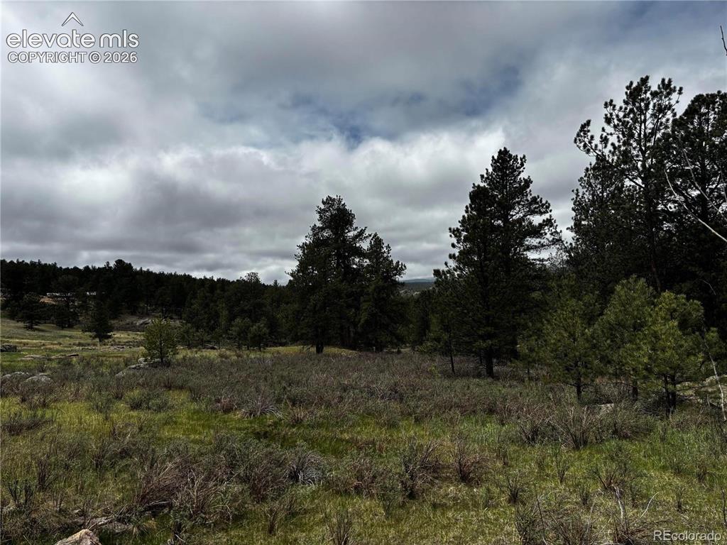 210 Crescent Drive Florissant CO 80816