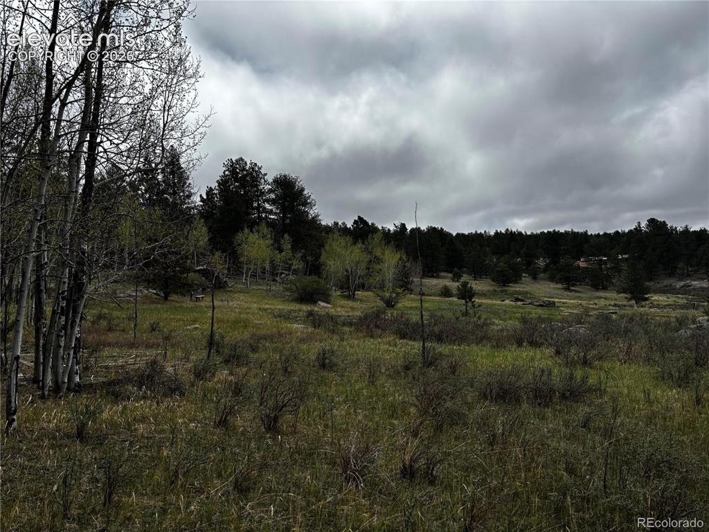 210 Crescent Drive Florissant CO 80816