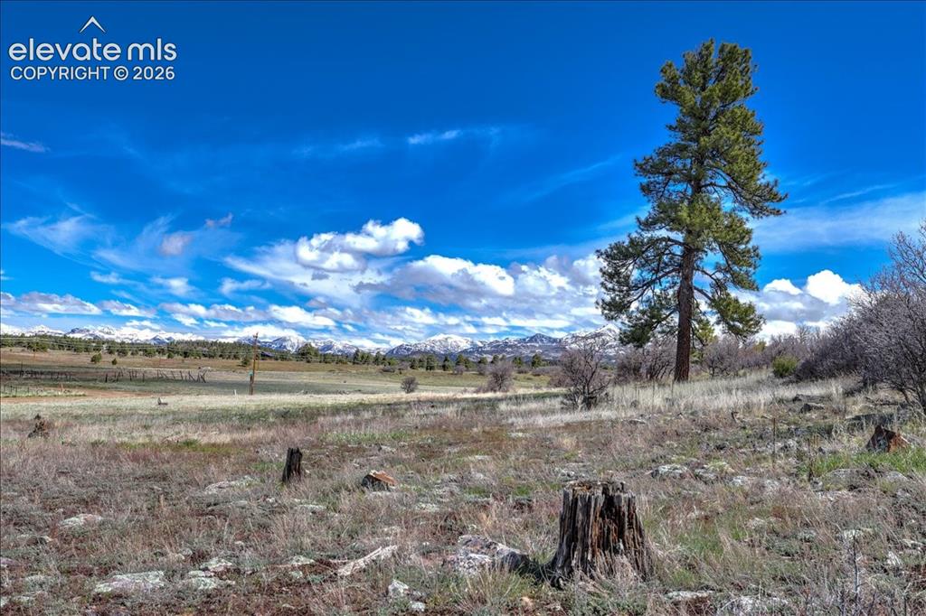 1234 Scenic Avenue Pagosa Springs CO 81147