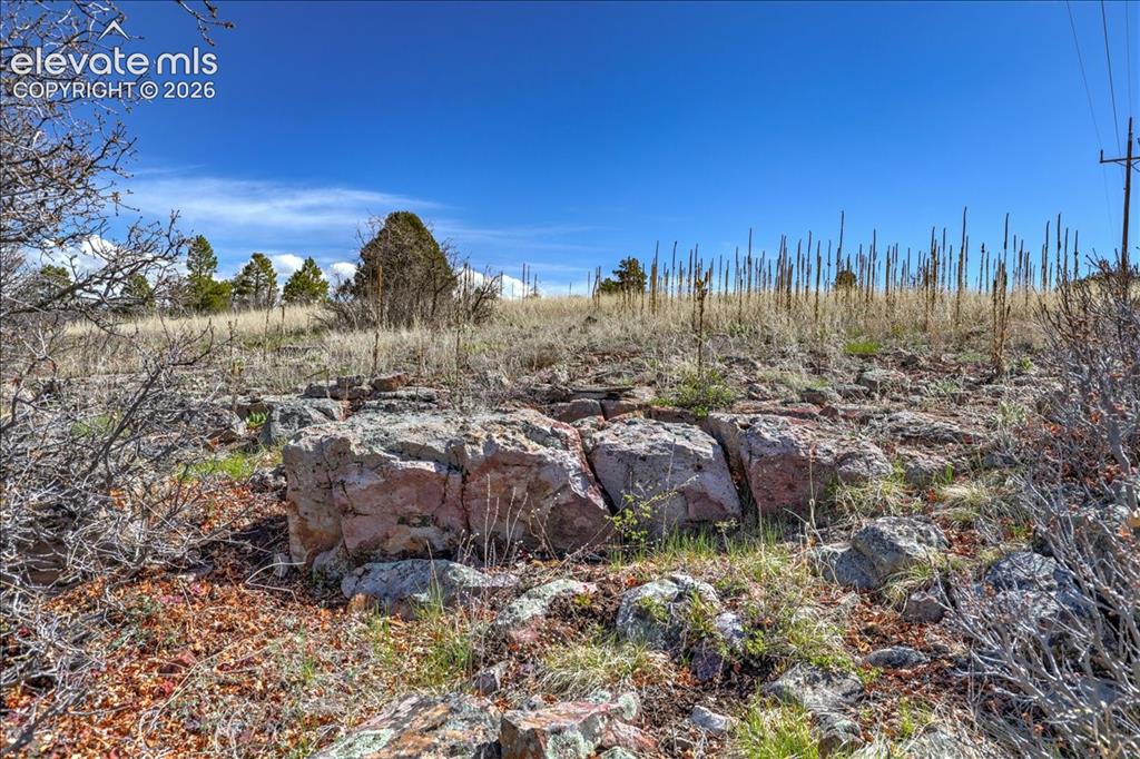 1234 Scenic Avenue Pagosa Springs CO 81147
