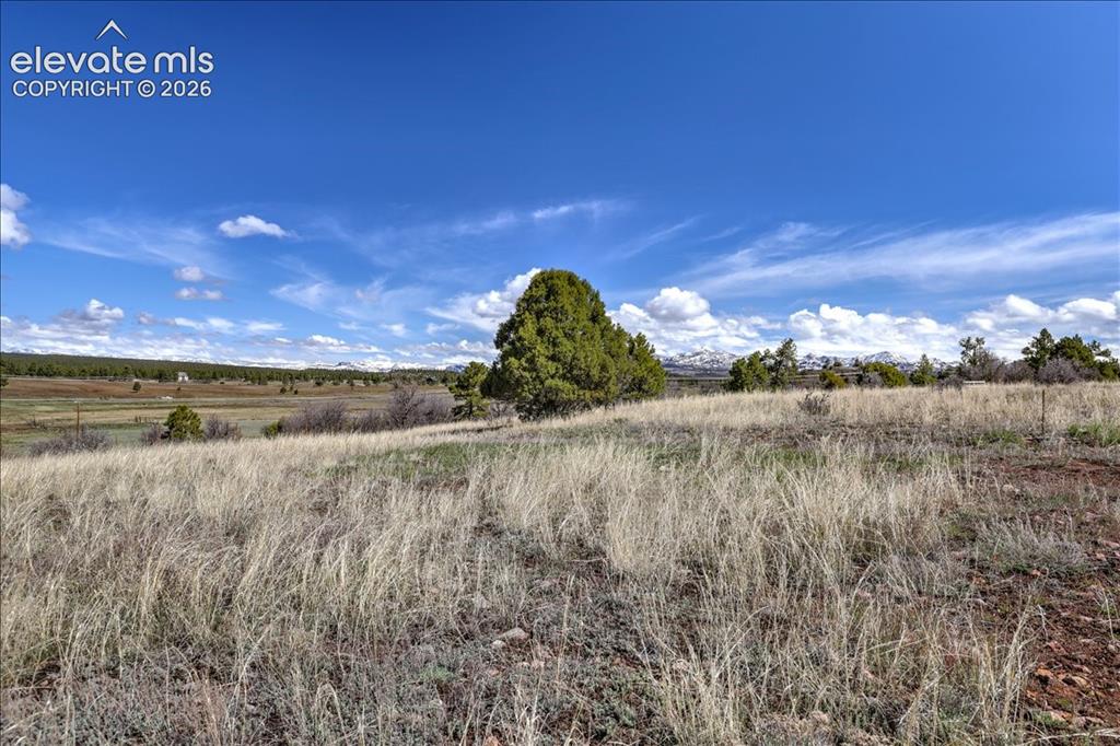 1234 Scenic Avenue Pagosa Springs CO 81147