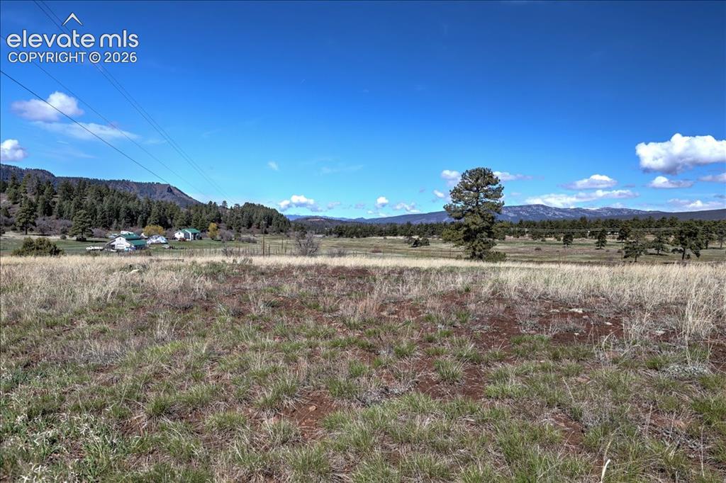 1234 Scenic Avenue Pagosa Springs CO 81147