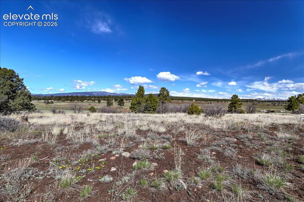 1234 Scenic Avenue Pagosa Springs CO 81147