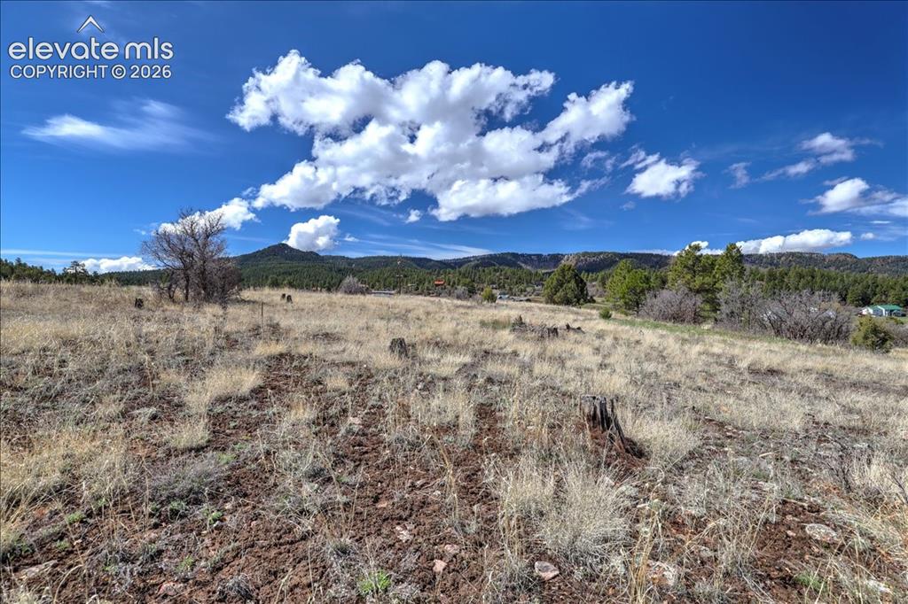 1234 Scenic Avenue Pagosa Springs CO 81147