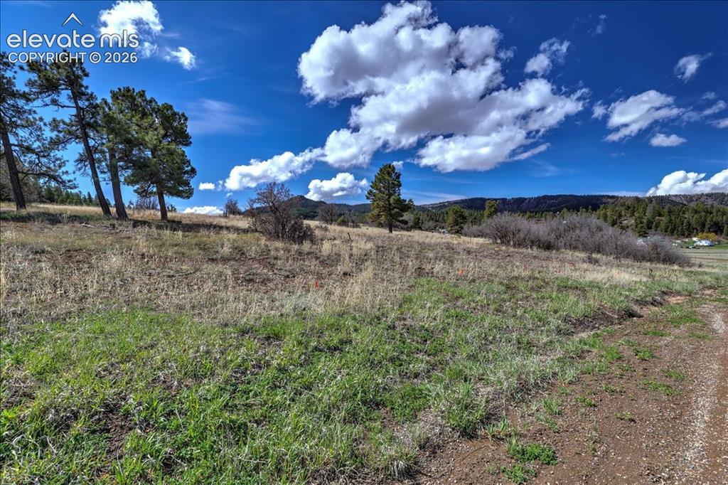 1234 Scenic Avenue Pagosa Springs CO 81147