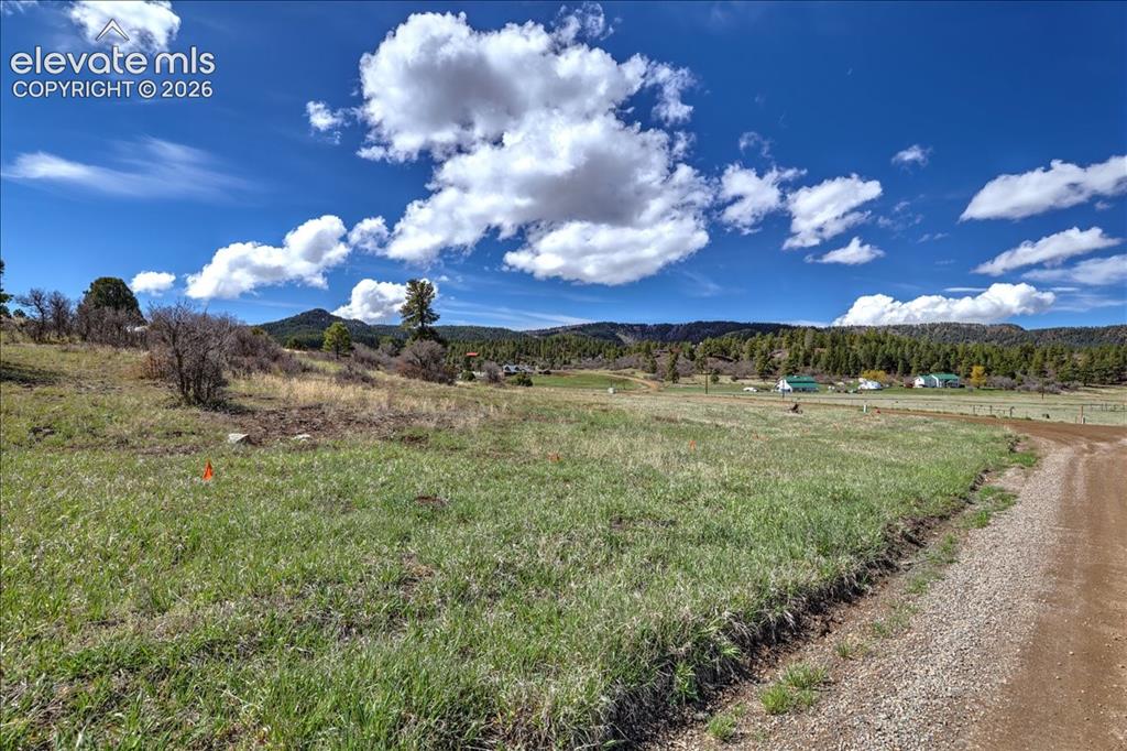 1234 Scenic Avenue Pagosa Springs CO 81147