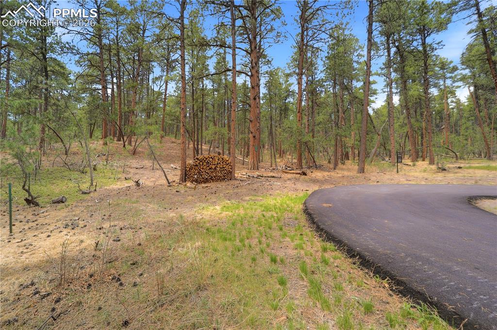 15950 Roller Coaster Road Colorado Springs CO 80921