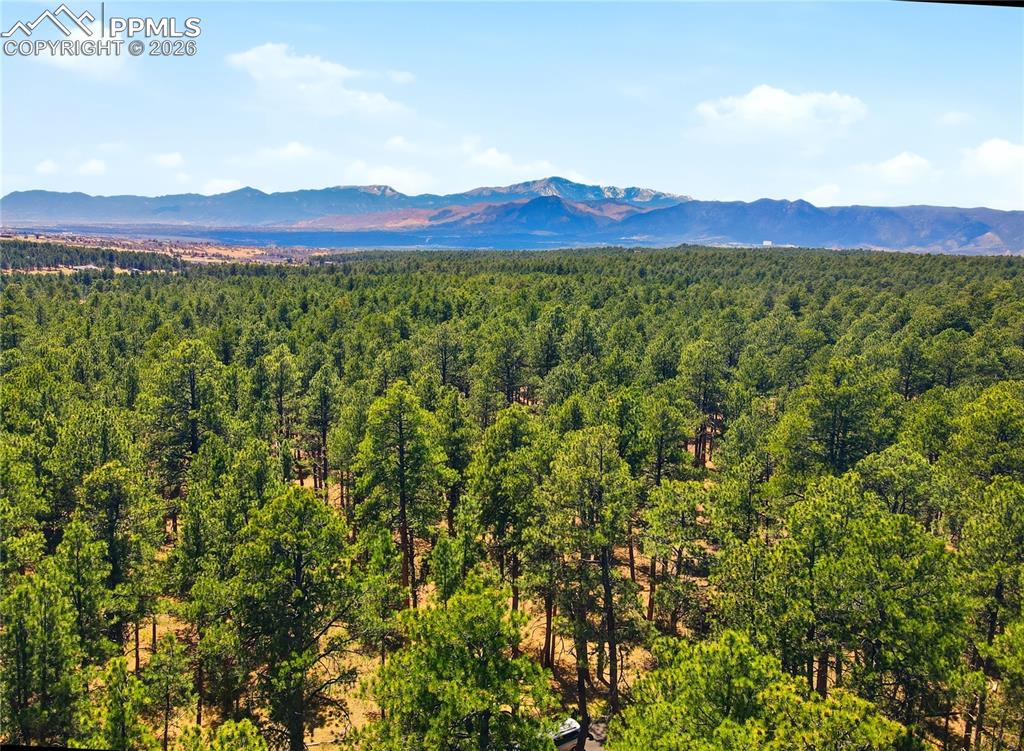 15950 Roller Coaster Road Colorado Springs CO 80921
