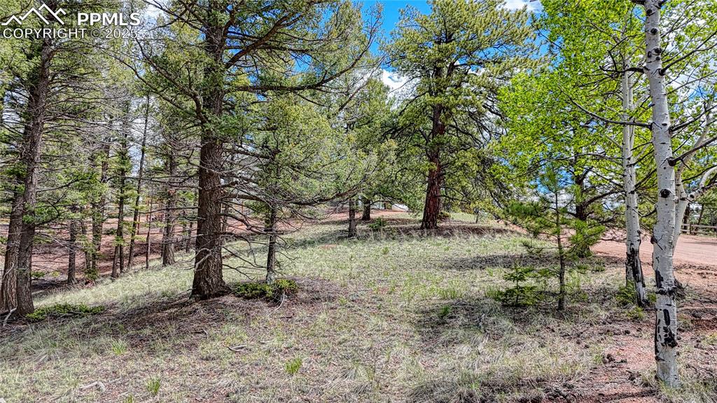 26 N Eldorado Circle Florissant CO 80816