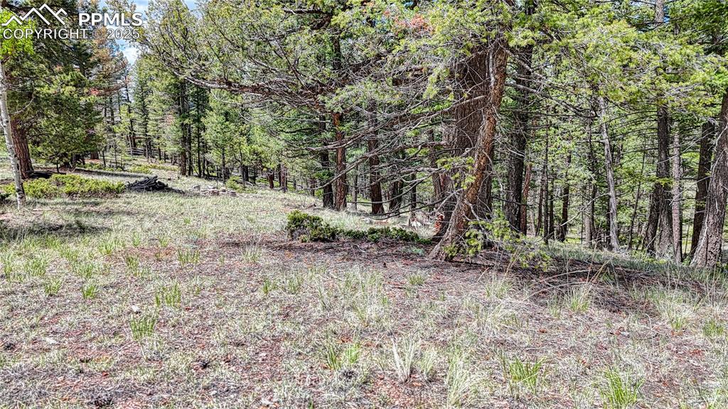 26 N Eldorado Circle Florissant CO 80816