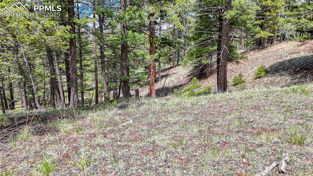 26 N Eldorado Circle Florissant CO 80816