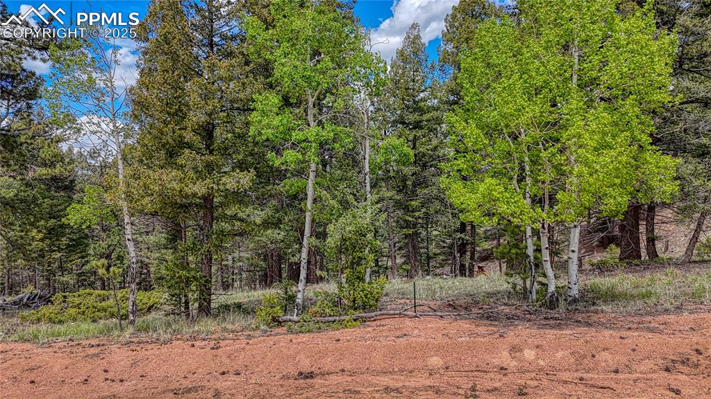 26 N Eldorado Circle Florissant CO 80816