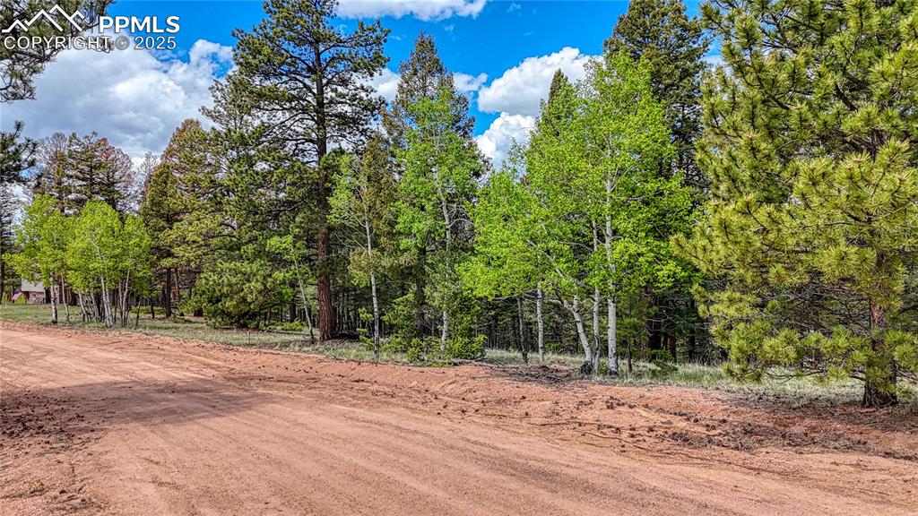 26 N Eldorado Circle Florissant CO 80816