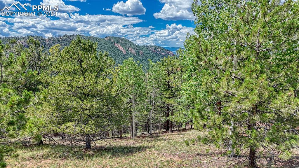 24 Wild Horse Circle Cripple Creek CO 80813