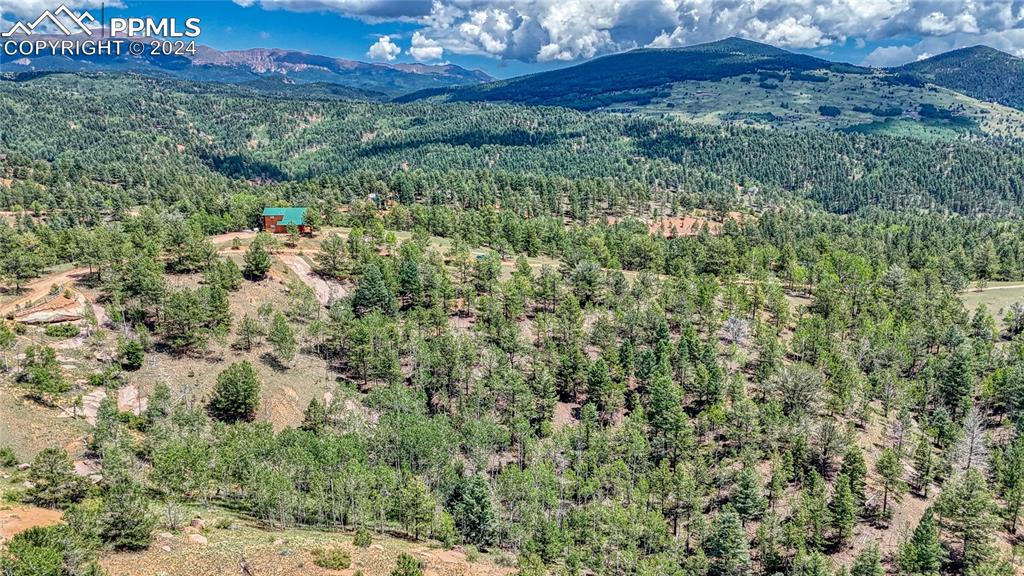 24 Wild Horse Circle Cripple Creek CO 80813