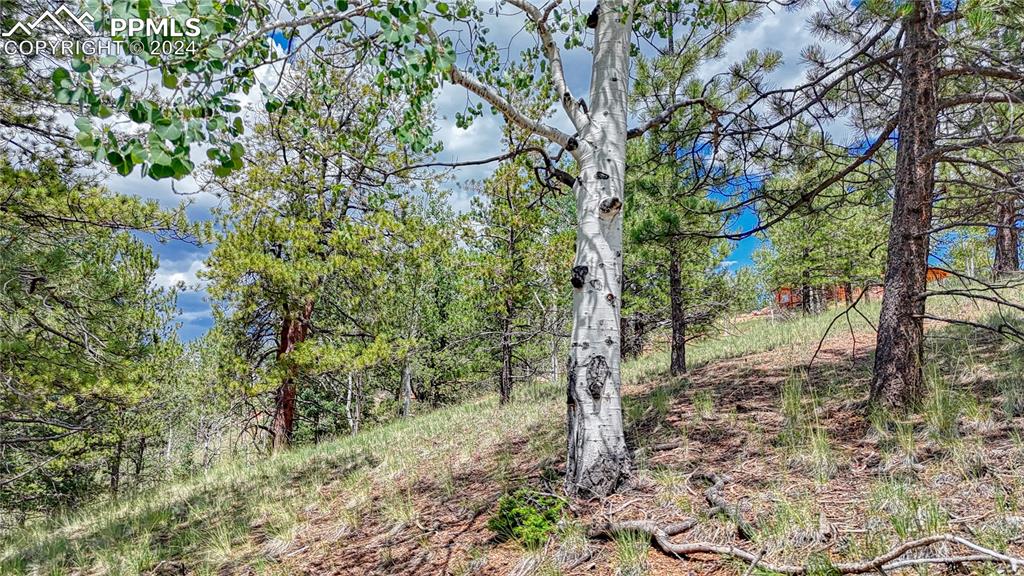 24 Wild Horse Circle Cripple Creek CO 80813