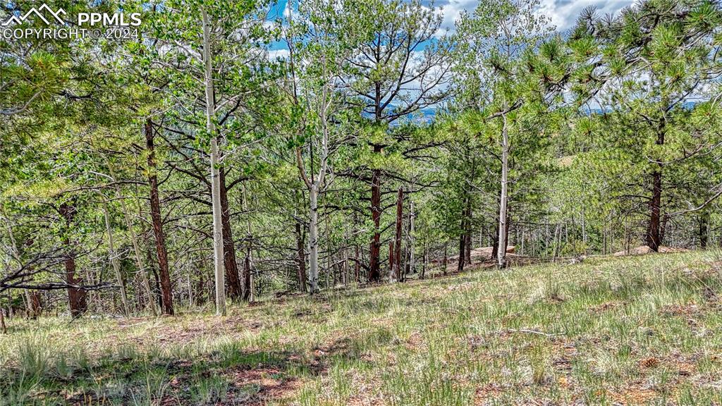 24 Wild Horse Circle Cripple Creek CO 80813