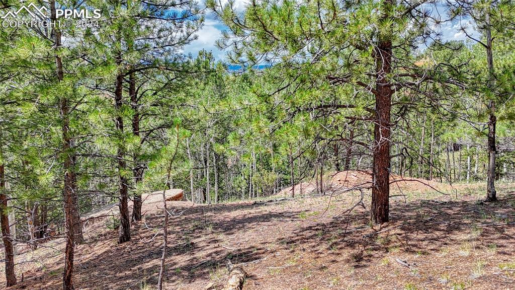 24 Wild Horse Circle Cripple Creek CO 80813