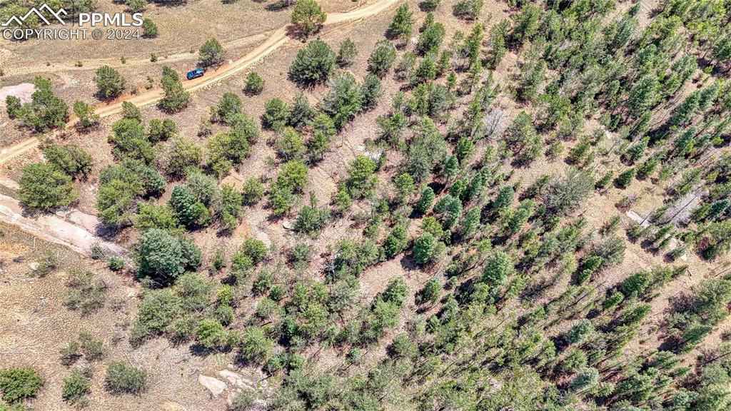 24 Wild Horse Circle Cripple Creek CO 80813