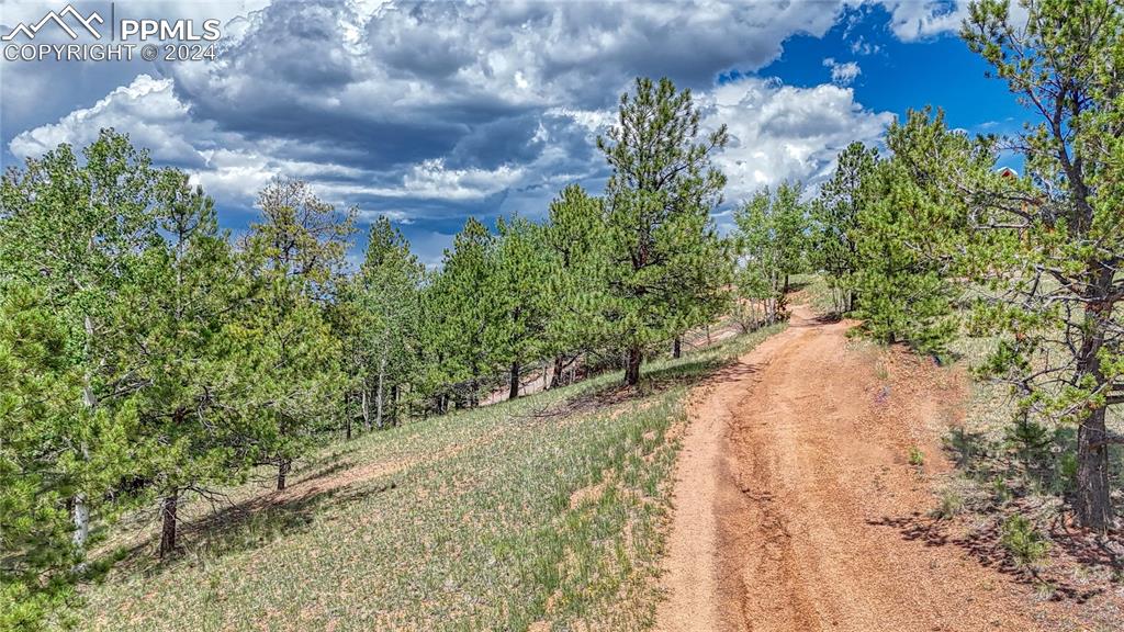 24 Wild Horse Circle Cripple Creek CO 80813