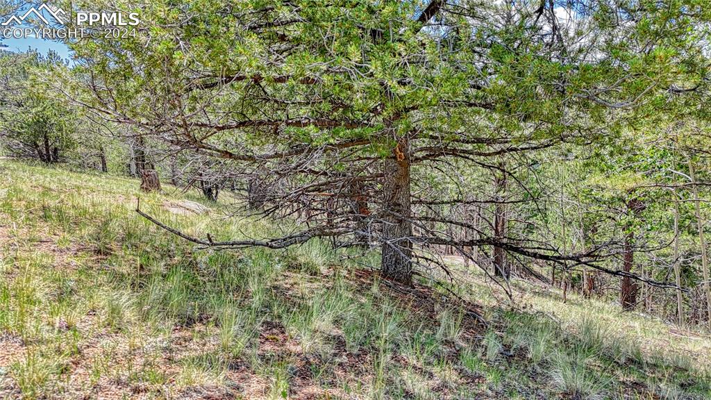 24 Wild Horse Circle Cripple Creek CO 80813