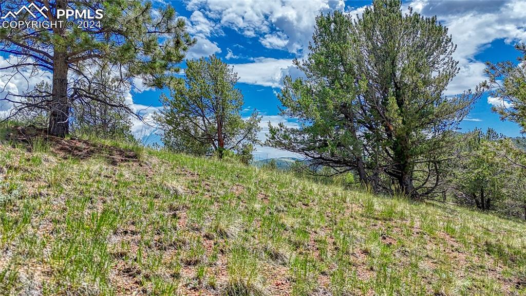 24 Wild Horse Circle Cripple Creek CO 80813