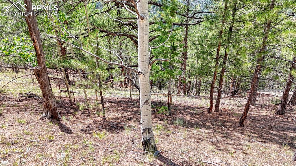 24 Wild Horse Circle Cripple Creek CO 80813