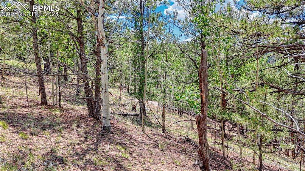 24 Wild Horse Circle Cripple Creek CO 80813