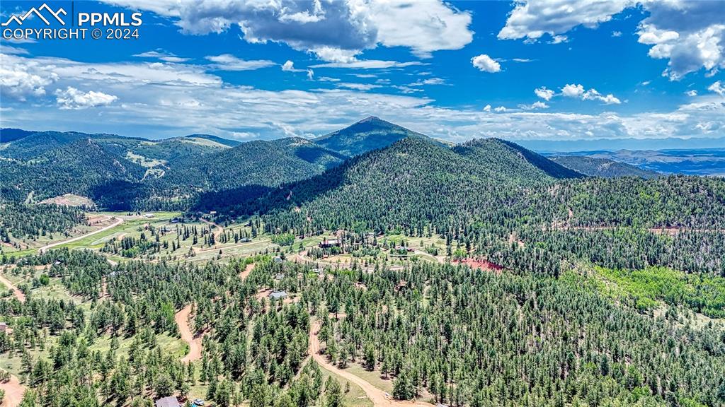 24 Wild Horse Circle Cripple Creek CO 80813