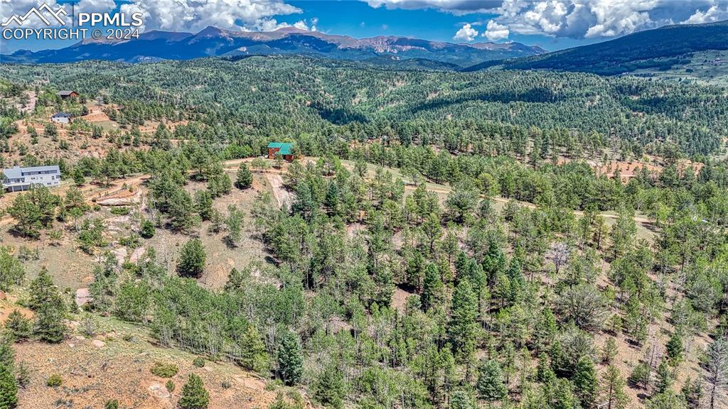 24 Wild Horse Circle Cripple Creek CO 80813