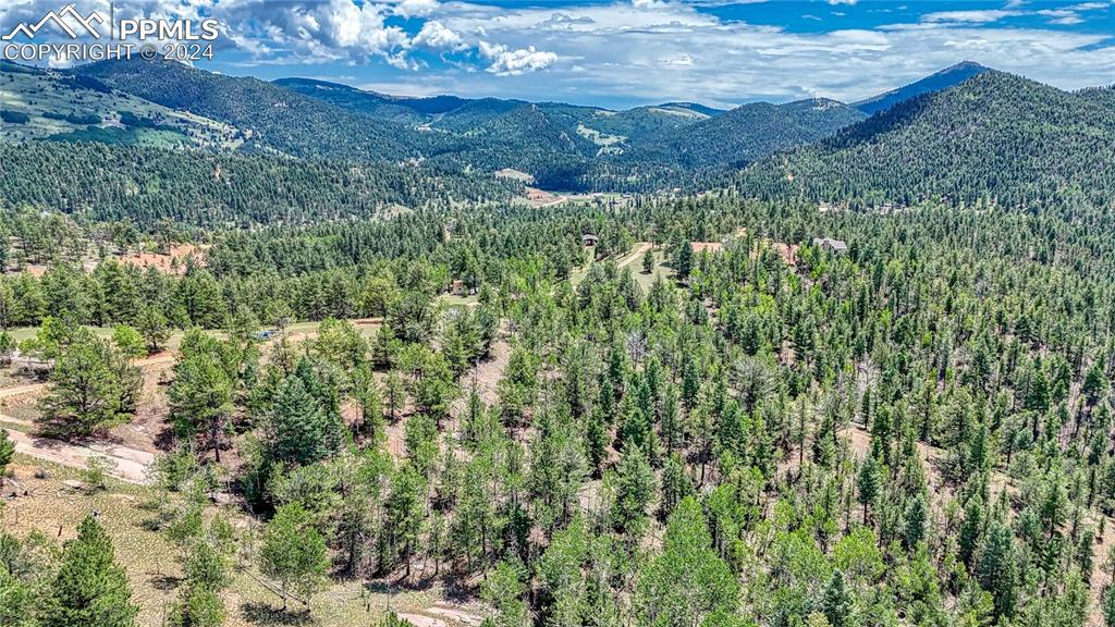 24 Wild Horse Circle Cripple Creek CO 80813