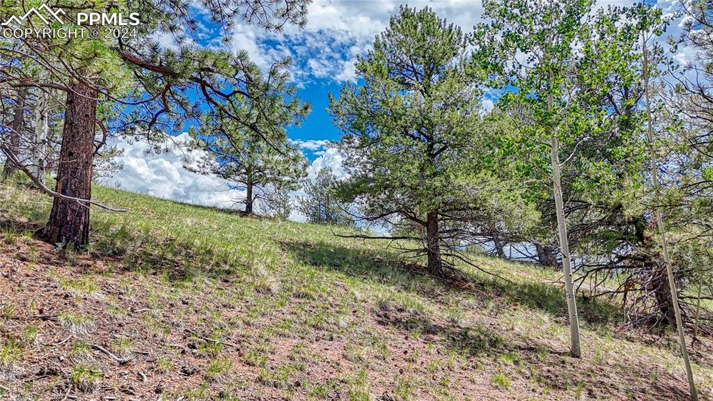 24 Wild Horse Circle Cripple Creek CO 80813