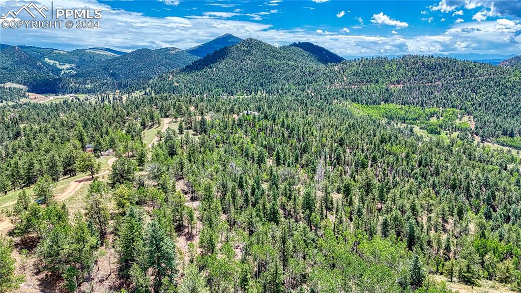 24 Wild Horse Circle Cripple Creek CO 80813