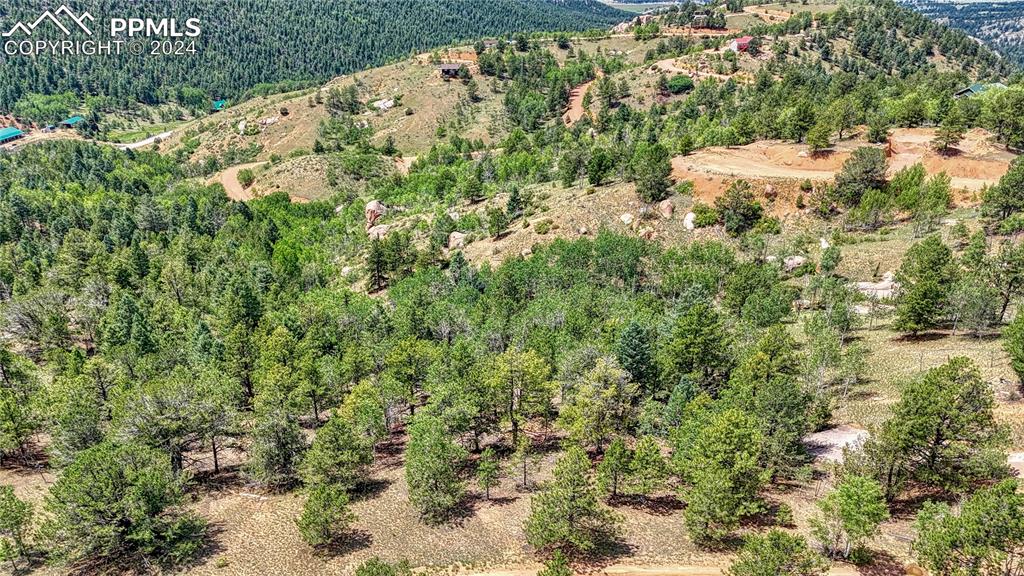 24 Wild Horse Circle Cripple Creek CO 80813