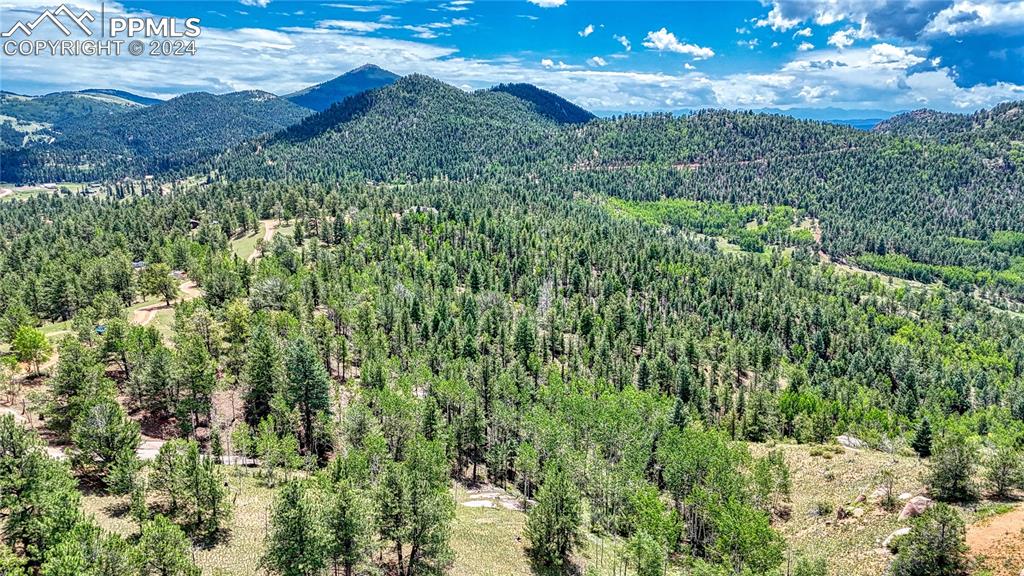 24 Wild Horse Circle Cripple Creek CO 80813