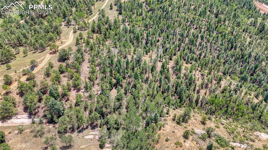 24 Wild Horse Circle Cripple Creek CO 80813