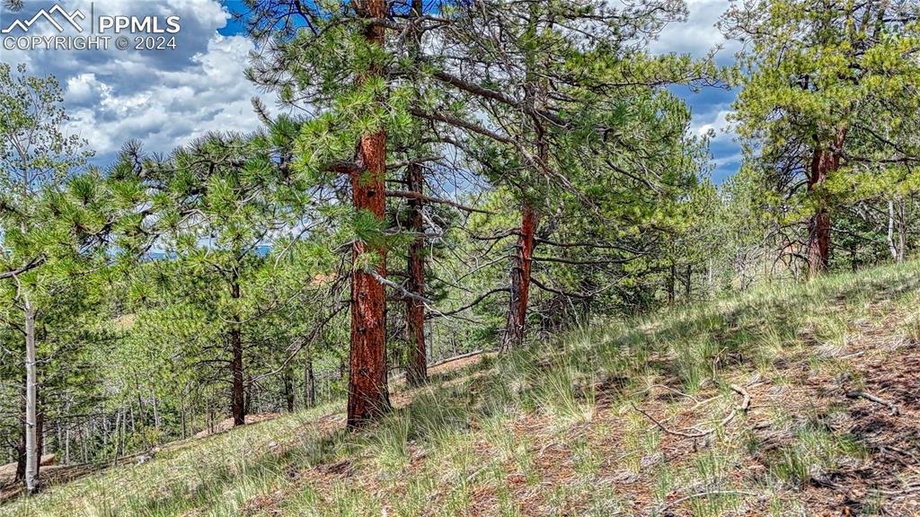 24 Wild Horse Circle Cripple Creek CO 80813