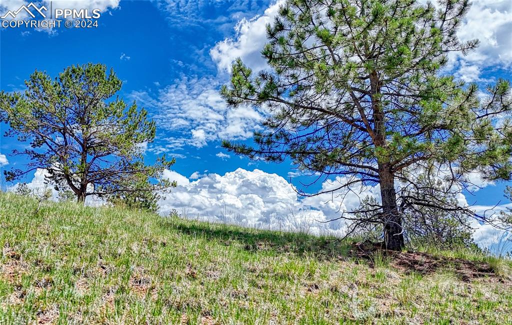 24 Wild Horse Circle Cripple Creek CO 80813