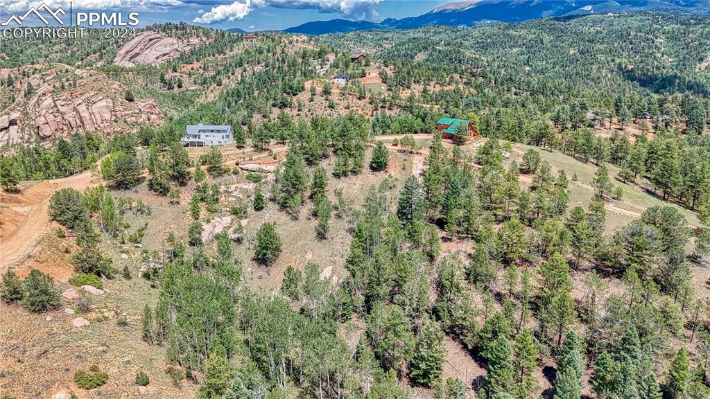 24 Wild Horse Circle Cripple Creek CO 80813