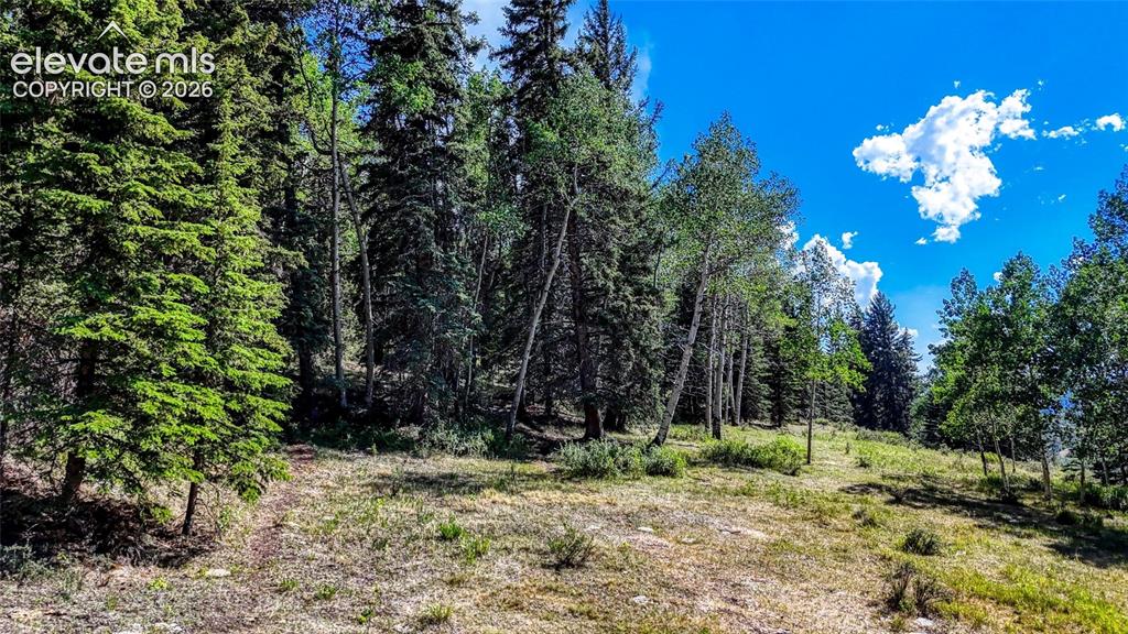 282 Fairview Drive Cripple Creek CO 80813